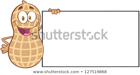 Foto stock: Funny Peanut Cartoon Mascot Character Holding A Blank Sign