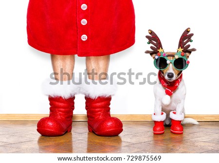 [[stock_photo]]: Christmas Santa Claus Reindeer Dog