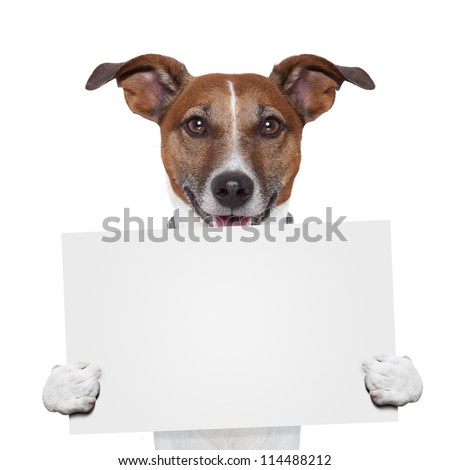 Foto stock: Board Placeholder Banner Dog