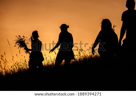 Foto stock: Silhouettes Of Girl Picking Flowers During Midsummer Soltice