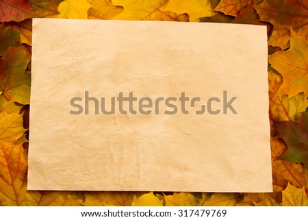 Zdjęcia stock: Old Grunge Paper With Autumn Maple Branch Leaves On The White B