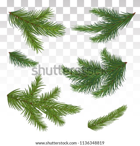 Zdjęcia stock: Set Of Green Fluffy Fir Pine Branches Isolated On White Background