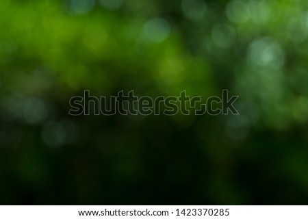 Zdjęcia stock: Abstract Blurred Background Of Summer Rain In Sunny Forest Close