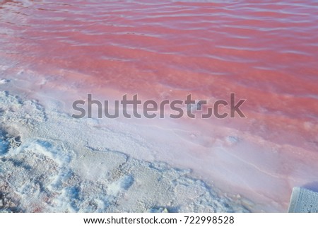 ストックフォト: Brine And Salt Of A Pink Lake Colored By Microalgae Dunaliella Salina Famous For Its Antioxidant P