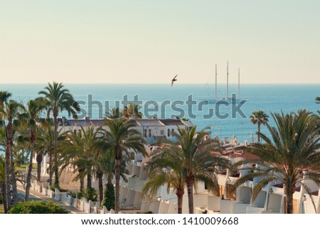 Stockfoto: Picturesque View Residential Coastal Summer Villa Rooftops Palm