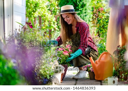 Сток-фото: Woman Transplanting Plants At Home Enjoy Gardening Female Caring For House Plants Hobby