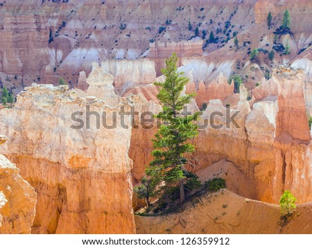 Сток-фото: Beautiful Landscape In Bryce Canyon With Magnificent Stone Forma