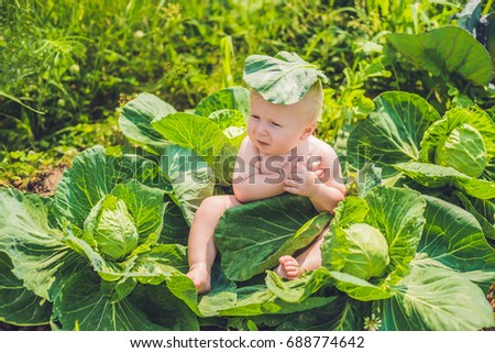 Stock foto: A Baby Sitting Among The Cabbage Children Are Found In Cabbage