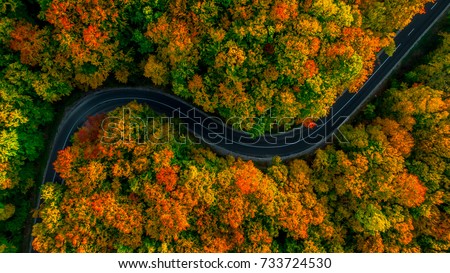 Stock photo: Aerial View Of Road In Beautiful Autumn Forest At Sunset Beautiful Landscape With Empty Rural Road