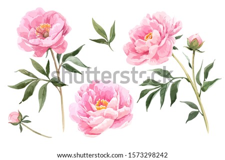 Foto d'archivio: Pink Peony Flowers As Floral Art Background Botanical Flatlay And Luxury Branding