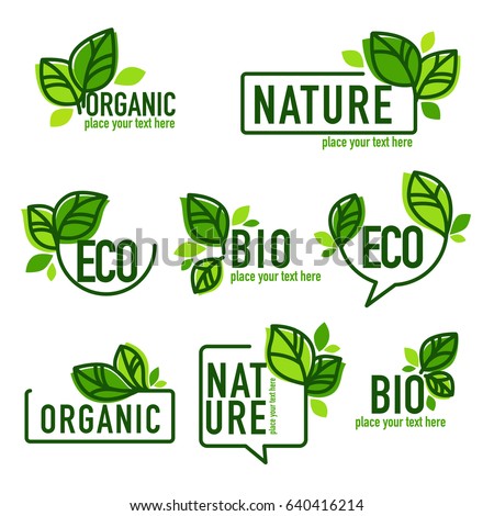 Stok fotoğraf: Eco Friendly Product Label Logo In Line Style With Green Avocado Text Design Template For Packaging