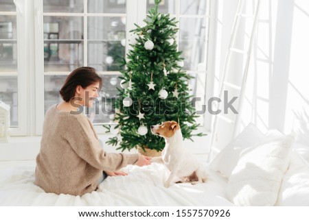 Zdjęcia stock: Photo Of Glad Brunette Young Woman Holds Paw Of Favourite Dog Wears Brown Sweater Sit On Comfortab