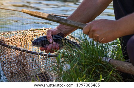 Сток-фото: Fisher Killing Brown Trout