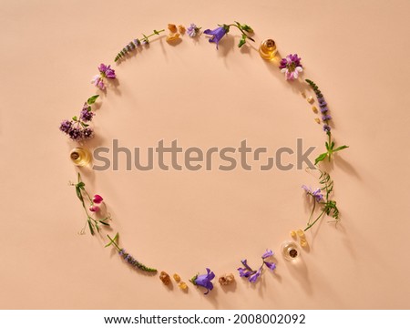 Foto stock: Bottles Of Essential Oil With Blooming Oregano Frankincense And Other Herbs