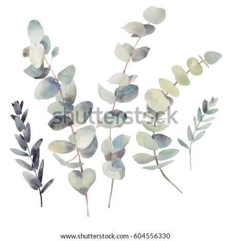 Stockfoto: Watercolor Modern Decorative Element Set Eucalyptus Round Green Leaf Wreath Greenery Branches Gar