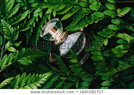 Foto stock: Perfume Bottle With Aromatic Tropical Scent In Nature Luxury Fragrance