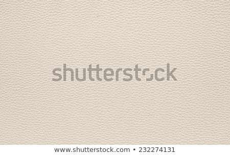 Stok fotoğraf: Beige Leather