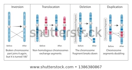 [[stock_photo]]: Mutation Chromosome Abnormality