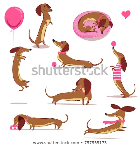 Сток-фото: Cartoon Dachshund Sign