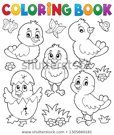 Stock fotó: Coloring Book Cute Chickens Topic Set 1