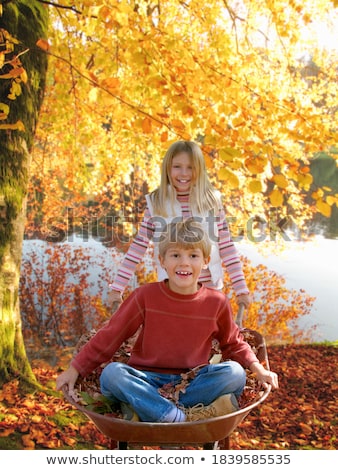 Stockfoto: Wee · Zusters · Zitten · In · Kruiwagen · Buitenshuis