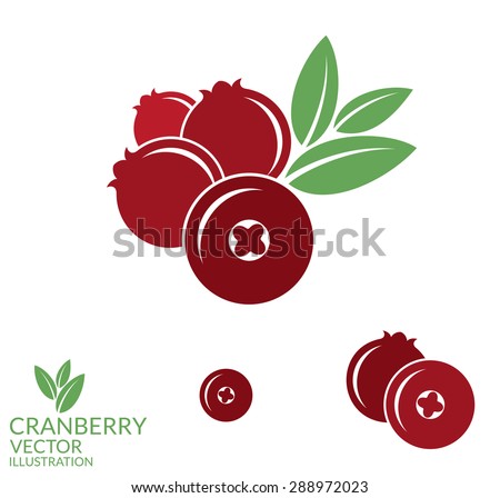 [[stock_photo]]: Plant And Berries Abstract Icon