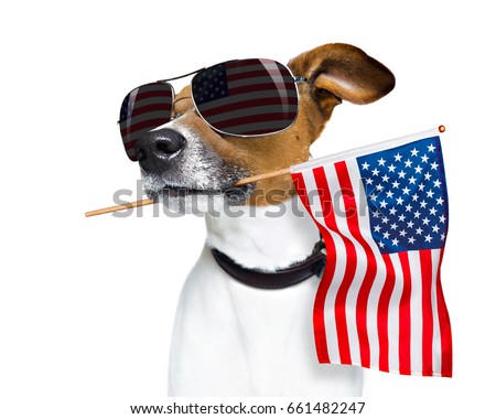 ストックフォト: Independence Day 4th Of July Dog
