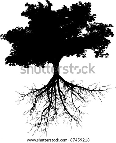 Set Of Plant And Tree With Its Silhouette Stockfoto © cla78