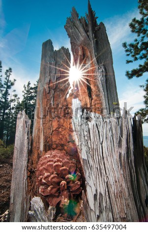 Сток-фото: Sunburst Around Lake Tahoe Area