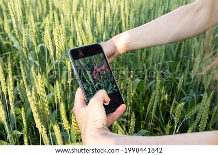 Stock photo: Agronomist Using Smart Phone Camera Mobile App