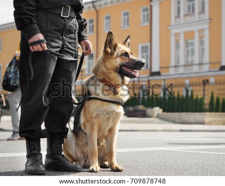 Stok fotoğraf: Police Dog