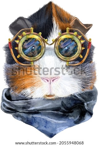 Zdjęcia stock: Watercolor Portrait Of Abyssinian Guinea Pig With Steampunk Glasses On White Background