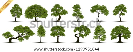 Stock photo: Vector Tree