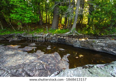 Foto d'archivio: Beautiful Forest Scene Of Enchanted Stream Flowing Through Lush