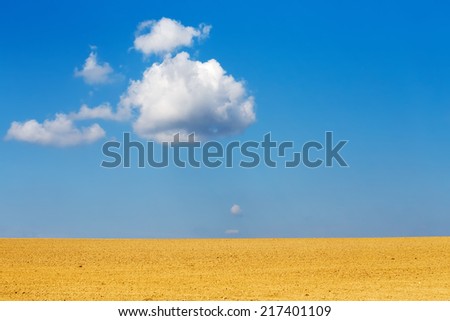 Nice Autumn Field With Clear Horizont And Blue Sky Stock foto © Artush