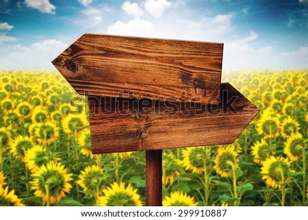 Stock fotó: Blank Rustic Opposite Direction Wooden Sign In Sunflower Field