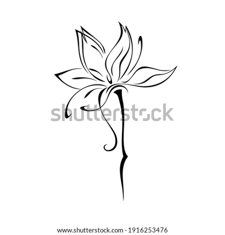 Stock photo: Abstract Stylized Flower Vector
