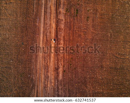 Stock fotó: Aerial View Of Female Farmer Walking On Dirt Road