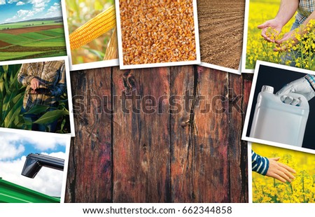 Сток-фото: Agriculture Themed Photo Collage With Copy Space