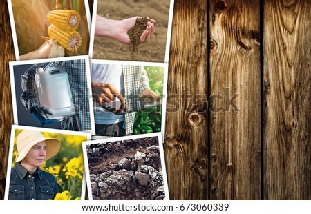 [[stock_photo]]: Agricultural Occupation And Activity Collage Photo