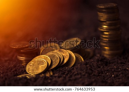 Foto stock: Bank Loans For Agricultural Production Serbian Dinar Currency