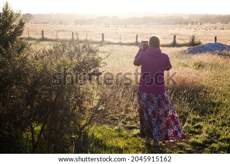 Imagine de stoc: Kangaroo In The Fog Of Early Morning