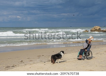 [[stock_photo]]: A Border Collie Dog Paddles In The Mediterranean Sea In Corsica
