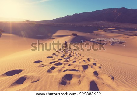 Stock photo: Hike In Desert