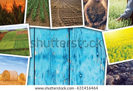 Stock foto: Agriculture Themed Photo Collage With Copy Space