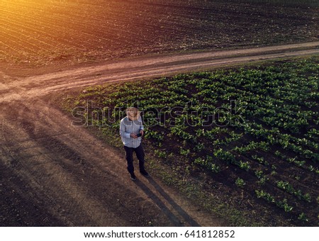 Stock photo: Farmer Using Drone In Sugar Beet Crop Field