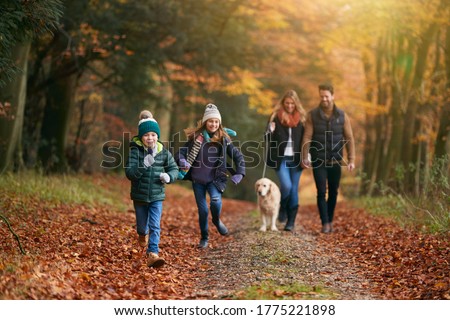 商業照片: Dog Running Or Walking In Autumn