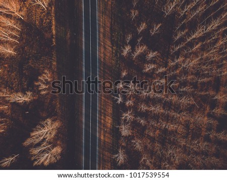 Foto stock: Aerial View Of Brand New Road Through Autumn Forest
