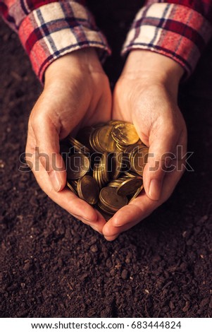 Stockfoto: Agricultural Productivity Money Yield And Income After Harvest