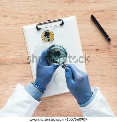 Foto stock: Overhead View Of Laboratory Technician Analyzing Petri Dish Bact